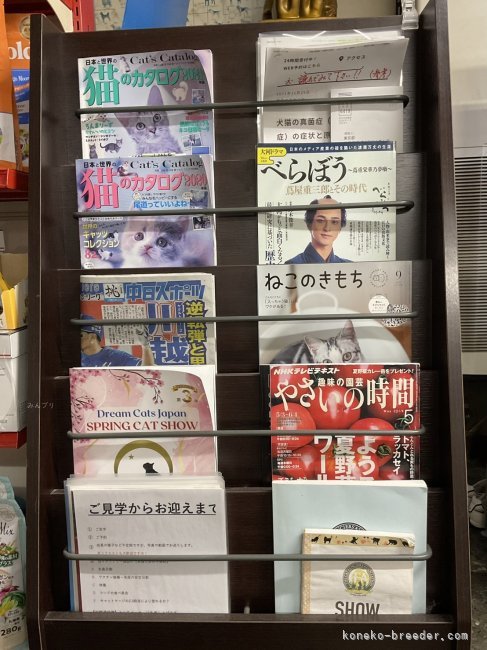 白井摩美ブリーダーのブログ：コールネームを選ぶ楽しさ🥰楽しい名前を付けてください💕