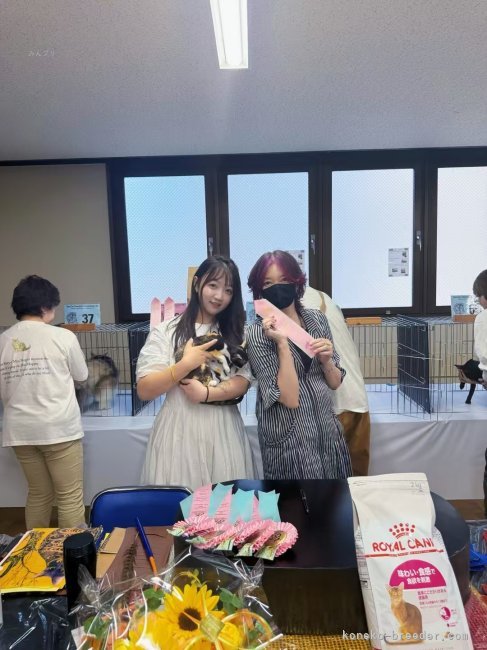 矢澤　憲治(やざわ　けんじ)ブリーダー(千葉県・デボンレックス・CFA登録)の紹介写真2