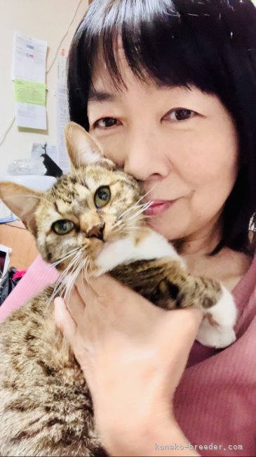 スタッフの古市裕子です。ペットシッター士、愛玩動物飼養管理士２級取得。｜古市　卓也(ふるいち　たくや)ブリーダー(奈良県・スコティッシュフォールドなど・ACC登録)の紹介写真1