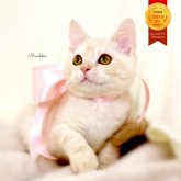 マンチカン(長足)