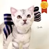 ジェネッタ