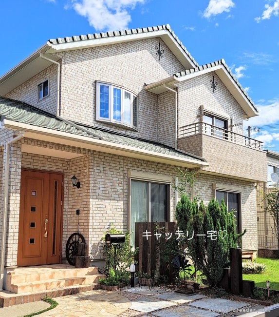 ねこ舎♡外観♡お待ちしています♪｜井田　敬子(いだ　けいこ)ブリーダー(群馬県・ミヌエットなど・ICC登録)の紹介写真10