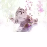 ラガマフィン