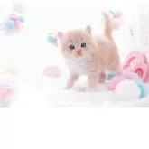 ラガマフィン