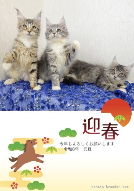 太田克彦ブリーダーのブログ：🎍新年おめでとうございます🎍