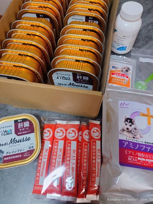 太田克彦ブリーダーのブログ：子猫ちゃんとベルくん