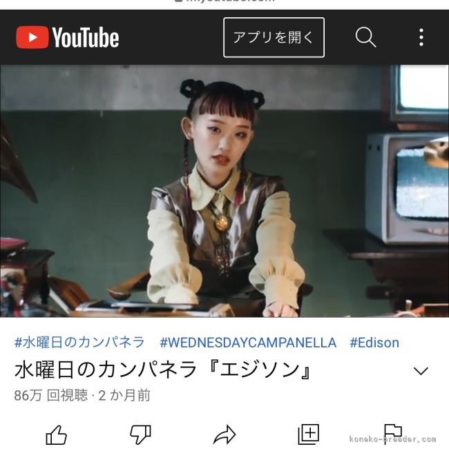 角谷敏広ブリーダーのブログ：水曜日のカンパネラさんMV出演