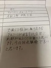 アメリカンショートヘア【兵庫県・女の子・2020年8月3日・レッドタビー】の写真4「獣医師による診断書と口腔外科専門獣医師にも診断して頂いております。」