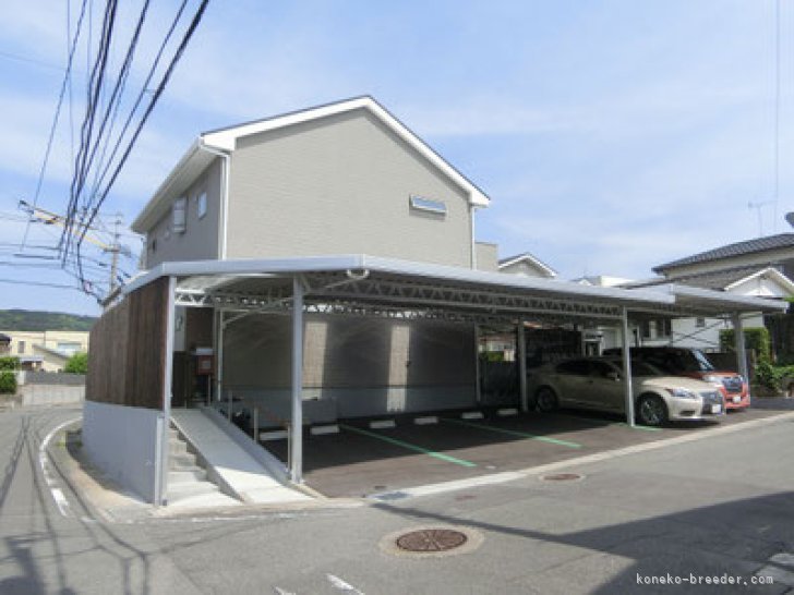 吉村　健児(よしむら　けんじ)ブリーダー(福岡県・ミヌエット・ACC/JCC（旧ACC）登録)の紹介写真3