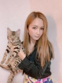 ベンガル【・女の子・2018年12月26日・ブラウンスポテッドタビー】「ブリーダー紹介の時に抱っこしてる子です💓」