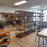 ノルウェージャンフォレストキャット【北海道・男の子・2025年10月15日・ブラック&ホワイト】の写真7