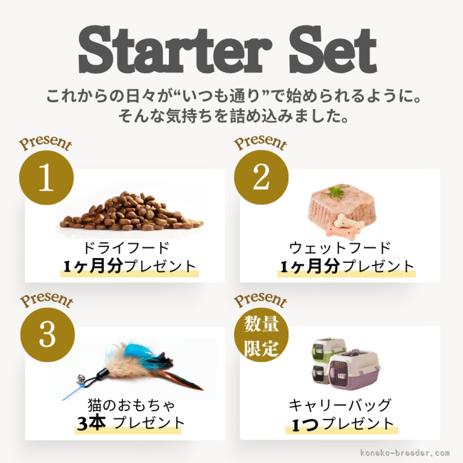 スターターセットプレゼントについて｜黄　慧琳(こう　けいりん)ブリーダー(千葉県・エキゾチックショートヘアなど・CFA登録)の紹介写真3