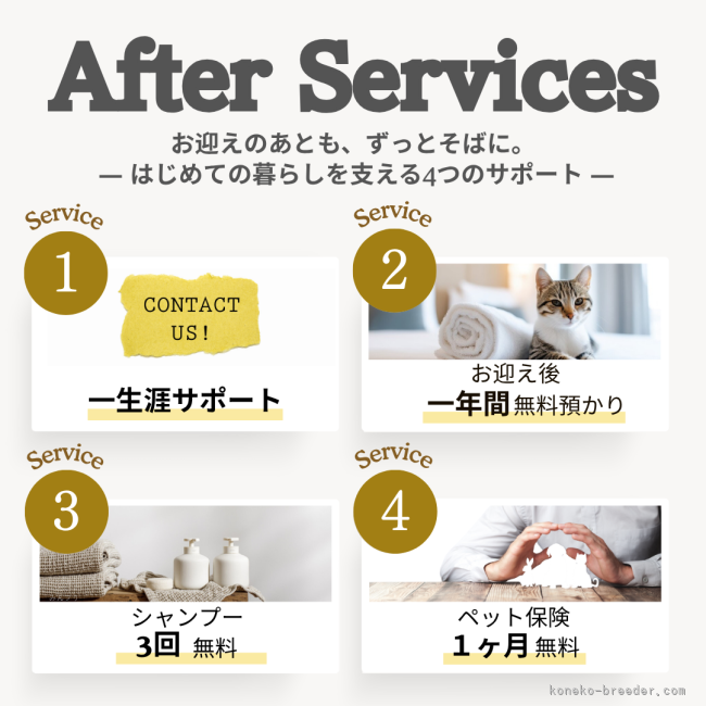 アフターサービスについて｜黄　慧琳(こう　けいりん)ブリーダー(千葉県・エキゾチックショートヘアなど・CFA登録)の紹介写真4