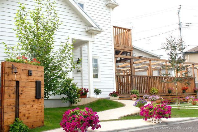 外崎　ゆみ子(そとざき　ゆみこ)ブリーダー(東京都・ノルウェージャンフォレストキャット・TICA登録)の紹介写真3