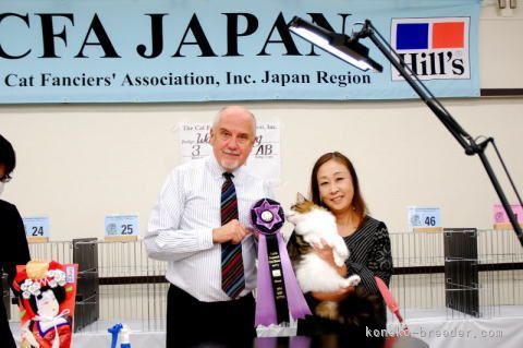 外崎　ゆみ子(そとざき　ゆみこ)ブリーダー(東京都・ノルウェージャンフォレストキャット・TICA登録)の紹介写真4