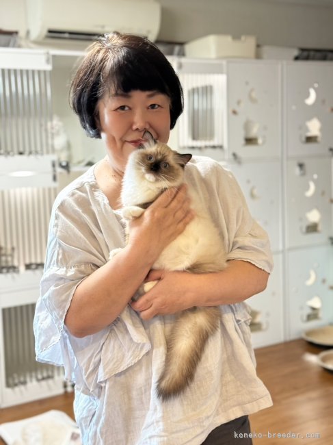 西則ウノブリーダーのブログ：お客様が猫を迎える素晴らしい瞬間❣️ この出会いに、運命を感じた日🐣