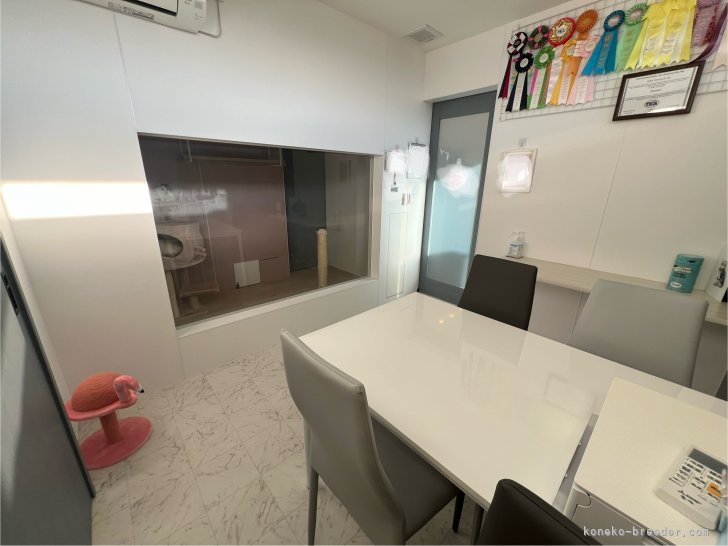 見学のお部屋｜河内　志帆(かわうち　しほ)ブリーダー(福井県・マンチカン・TICA/ICC/DCC登録)の紹介写真2