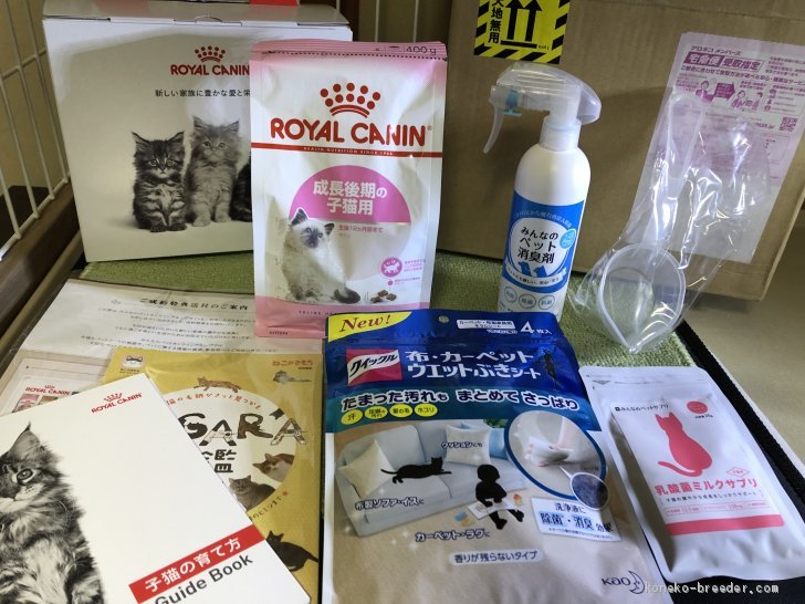 中嶋耕司ブリーダーのブログ：実際に猫さんをお迎えした結果♪