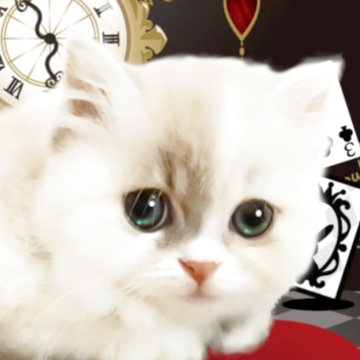 マンチカン(短足)【千葉県・女の子・2025年8月21日・ライラッククリーム&ホワイト(セミロング)】の写真「不思議の国から来たような大きなうるんだ目の女の子」