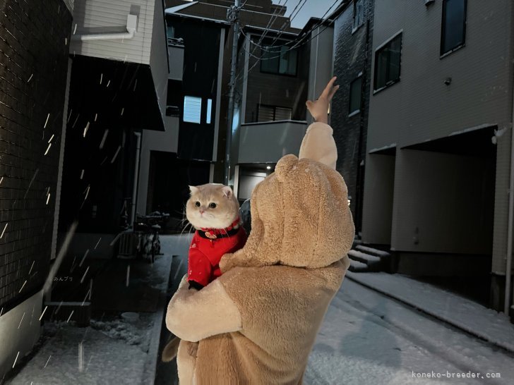 趙彤ブリーダー