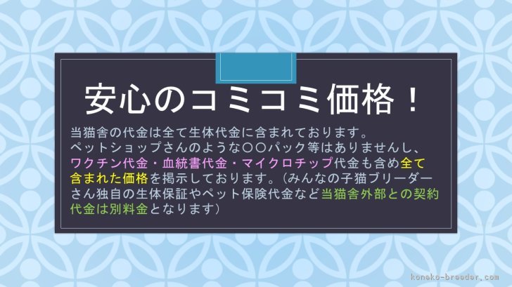 他にお金掛かるの？いいえ、掛かりません！｜杉田　伸也(すぎた　しんや)ブリーダー(埼玉県・ノルウェージャンフォレストキャット・JCC（旧ACC）登録)の紹介写真3