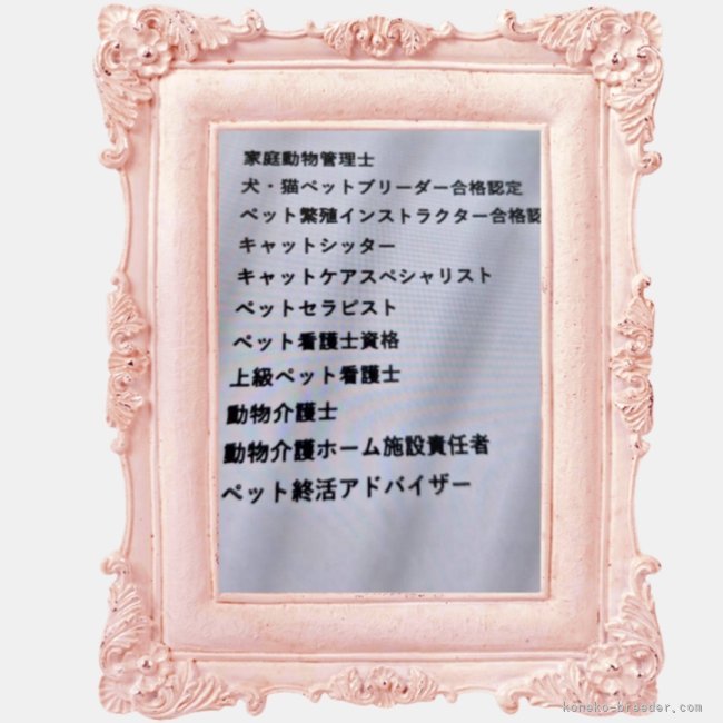 ブリーダーになる為に取得した資格｜木津　秀美(きつ　ひでみ)ブリーダー(千葉県・サイベリアン・ICC登録)の紹介写真10