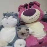 ヒマラヤン