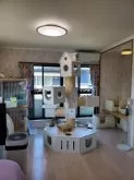 スコティッシュフォールド(立ち耳)【愛知県・男の子・2024年7月16日・クリームタビー&ホワイト】の写真5