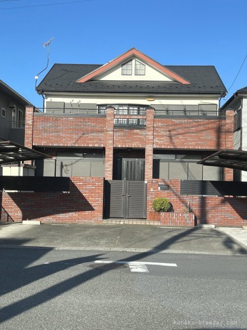 外観　※駐車できますので前の薬局等に止めないようお願いいたします。｜田中　砂奈美(たなか　さなみ)ブリーダー(埼玉県・ミヌエットなど・ICC/ZCC/CPRO登録)の紹介写真10