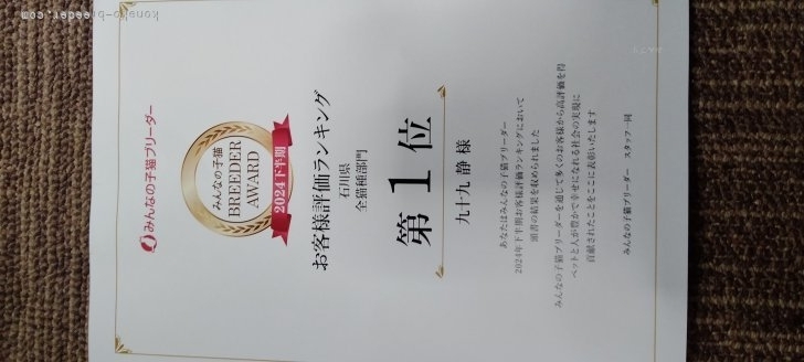 石川県２０２４下半期のお客様評価ランキング第1位に選ばれました。お客様ありがとうございました。｜九十九　静(つくも　しずか)ブリーダー(石川県・ミヌエット・KCP登録)の紹介写真4