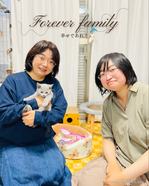高林弥生ブリーダーのブログ:❤️シャルちゃんお迎え頂きました🏡