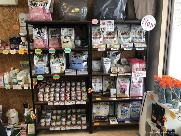 購入お客様専用販売　商品在庫もあり購入出来ます。｜後藤　嘉茂(ごとう　よししげ)ブリーダー(岐阜県・エキゾチックショートヘアなど・CFA/ACC/Sun kyoto japan cat club登録)の紹介写真9