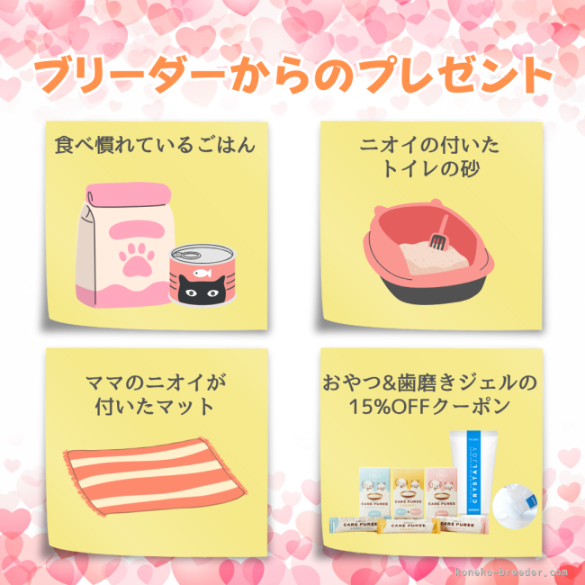 安心してお迎えいただけるように、成約特典をご用意しております。｜時田　陽平(ときた　ようへい)ブリーダー(千葉県・アメリカンショートヘアなど・PCC登録)の紹介写真8