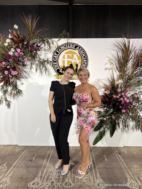 田中　オクサーナ(たなか　おくさーな)ブリーダー(埼玉県・エキゾチックショートヘアなど・CFA登録)の紹介写真2