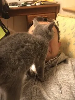 シャルルの飼い主 様のお迎えした子猫