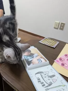 M.M 様のお迎えした子猫