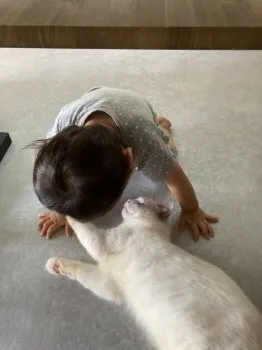 a 様のお迎えした子猫