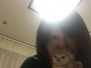 きぃ 様のお迎えした子猫