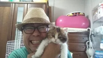 三毛猫スコのココナ 様のお迎えした子猫