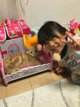 ゆう 様のお迎えした子猫