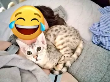 S.M 様のお迎えした子猫