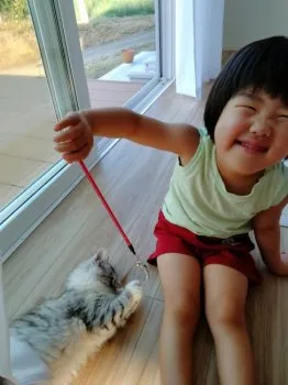 ゆい 様のお迎えした子猫