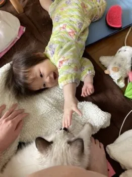 くれない 様のお迎えした子猫