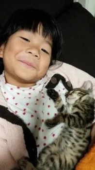 ポポ 様のお迎えした子猫