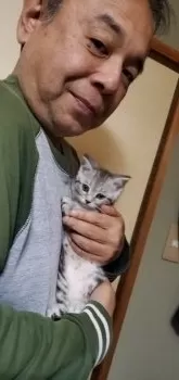 ノムさん 様のお迎えした子猫