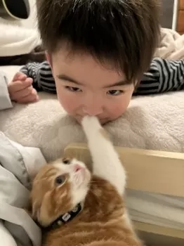 A.O 様のお迎えした子猫