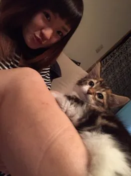 たまえ 様のお迎えした子猫