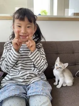 Natsumin 様のお迎えした子猫