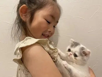 N.K 様のお迎えした子猫