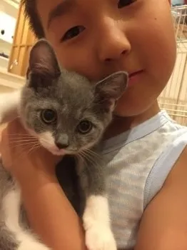 中西　利恵 様のお迎えした子猫